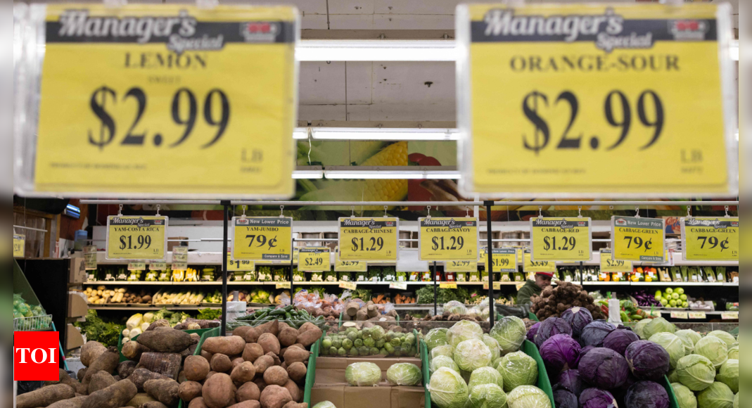 Fed: US consumer inflation still elevated but Fed under stress